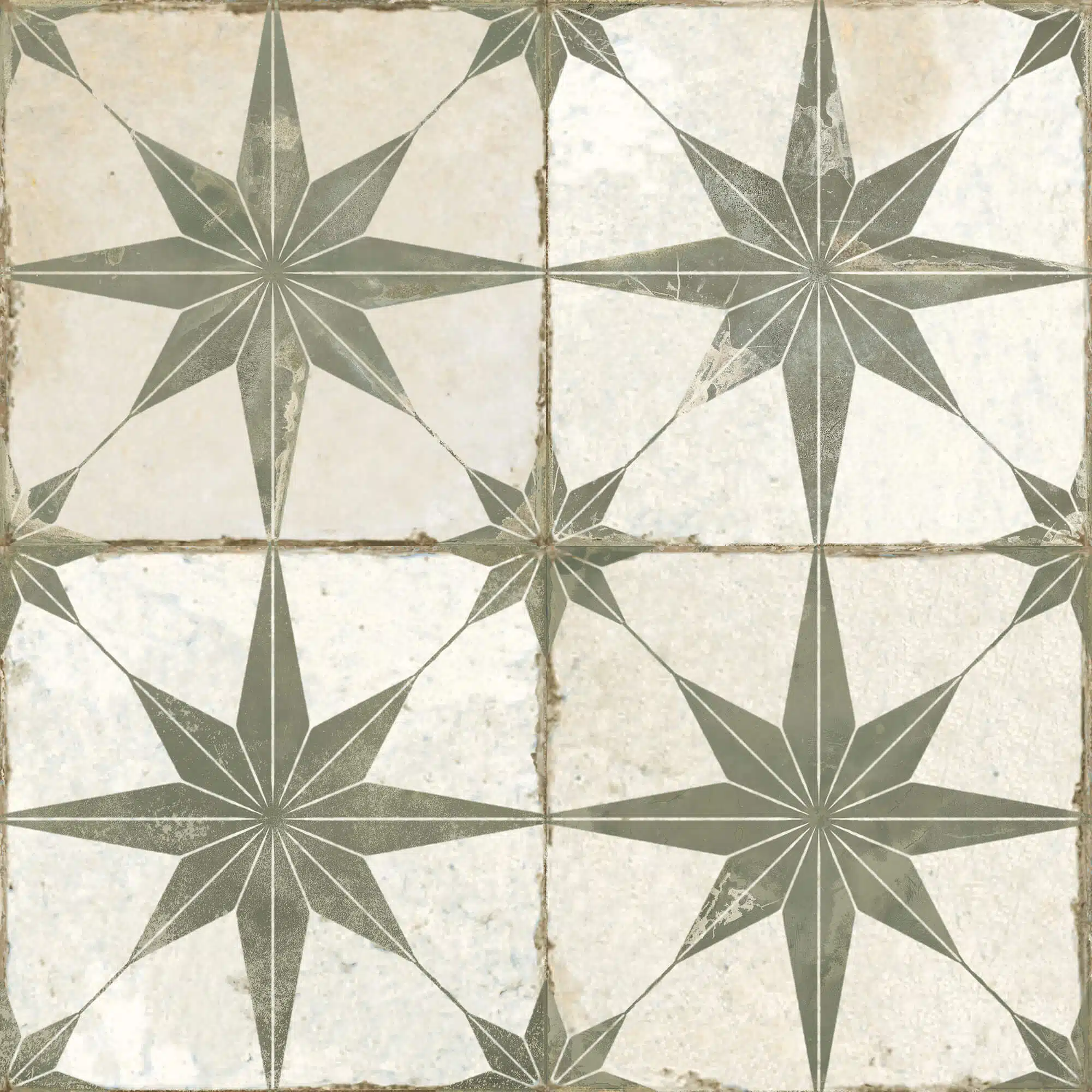 PR7604BI25521_23199_FS_STAR_SAGE_SZ1
