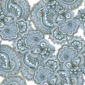 paisley-laxmi2