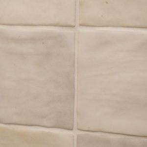 SAHN-WHITE-10X10_SZ1